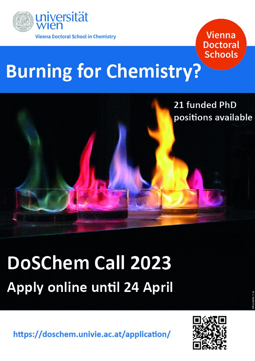 Poster for DosChem Call 2023