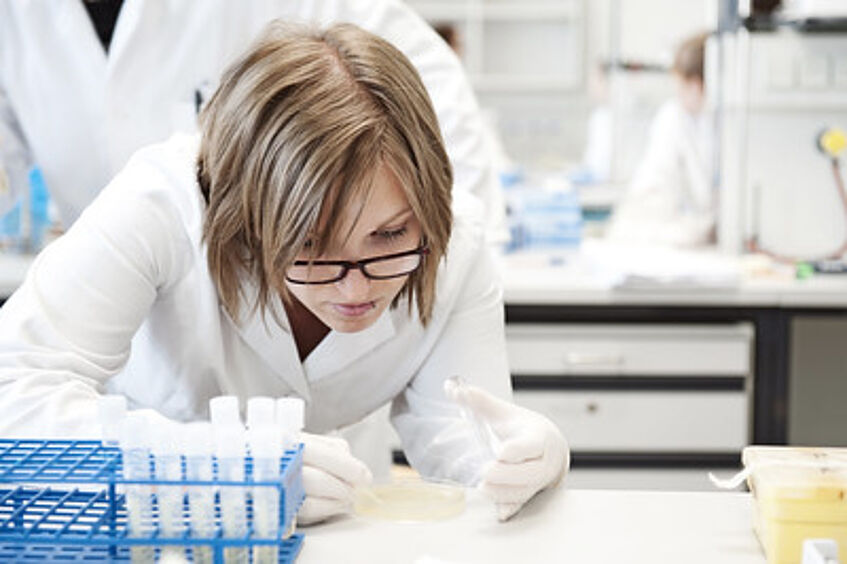 Student at work in the laboratory